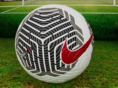 Nike Flight 23 24 soccer ball Free 3D model
