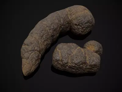 Dog Poop Low-poly 3D model