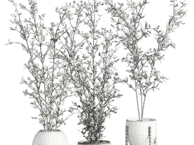 Plants Set 3D model purchase
