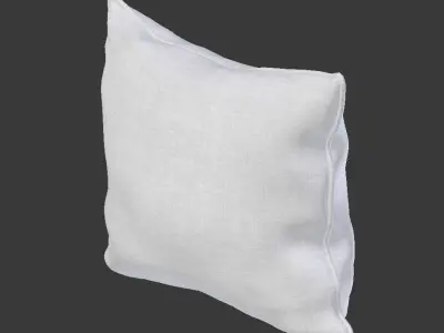Piped Pillow 3D model