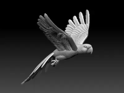 parrot flying in air 3D print model