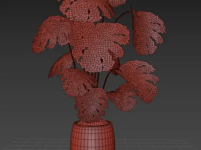 indoor plant 07 3D model