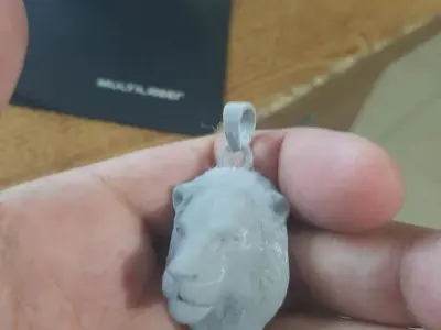 Lion keychain Free 3D print model