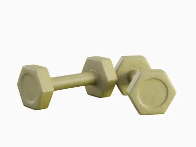 Small Rubber Dumbbell 06 3D model