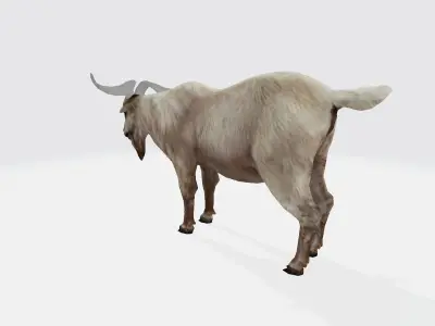 Goat 3d with long horns 3D model