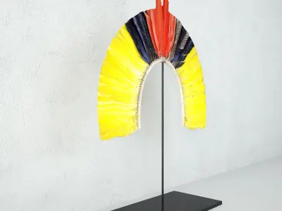 Kayapo Small Feather Headdress 3D model