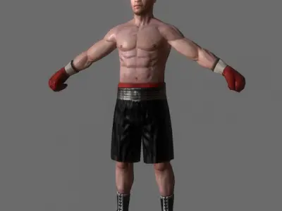 Boxer v2 Low-poly 3D model