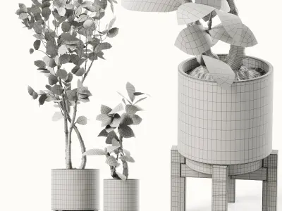 Houseplants  3D model