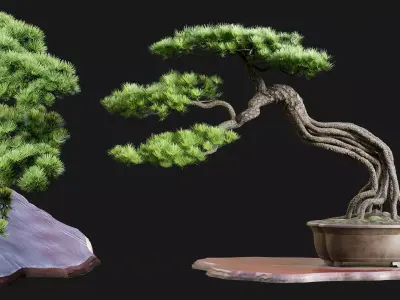 Bonsai 04 - PBR - Midpoly - HQ 3D model