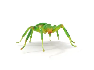 Vibrant Green Spider model pack Low-poly 3D model