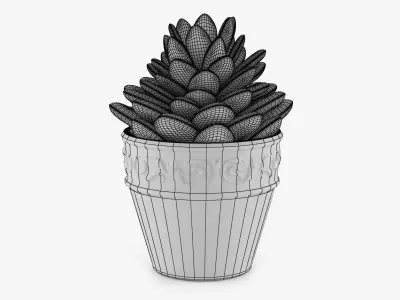 Succulents 09 3D model