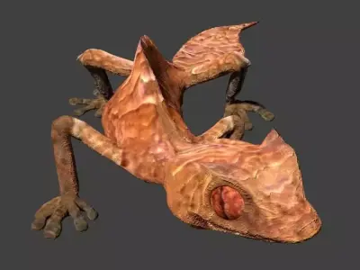 Satanic leaf gecko 3D model