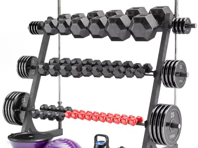 gym-collection dumbbell rack 3D model