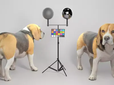 Beagle dog 09 Low-poly 3D model