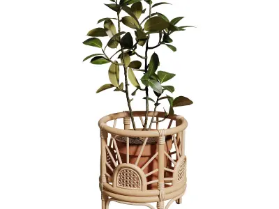 Faiths Sunrise Planter 3D model