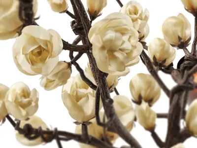 Amber Serenity Dining Composition 28 3D model