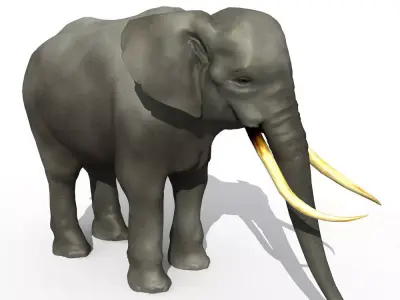 Asian Elephant 3D model