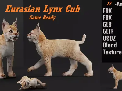 Eurasian Lynx Cub 3D model