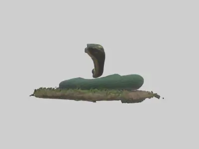 Forest Cobra hiding model 3D model