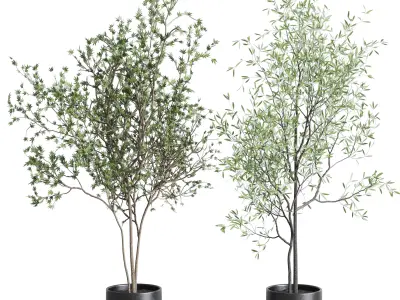 collection indoor plant 326 concrete vase Low-poly 3D model