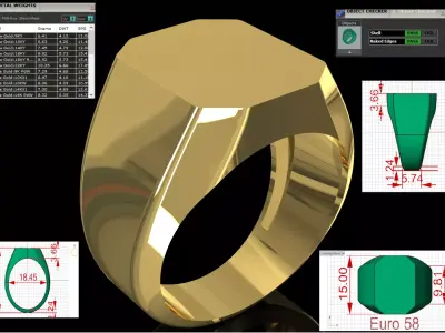 Modern Octagonal Flat Top Signet STL 3DM  Ring model mr0313 3D print model