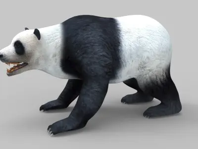 White Rigged 3D Models low poly model Low-poly 3D model