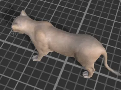 Lioness  Low-poly 3D model