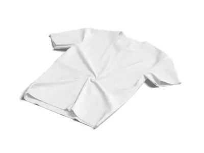 Flat Lay T-shirt - twisted fabric basic tshirt Low-poly 3D model