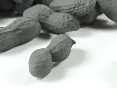 polypasta - peanut 01 and 02 3D model