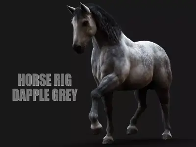 Horse Dapple Grey RIG  XGEN 3D model