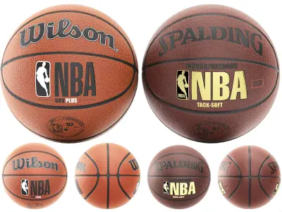 wilson and spalding basketball 3D model