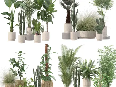 20 Photorealistic Flowers for Interiors - set 201 203 205 216 3D Model Collection