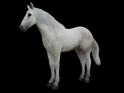 White Horse Low Poly Game-Ready PBR Rigged Animated Low-poly 3D model