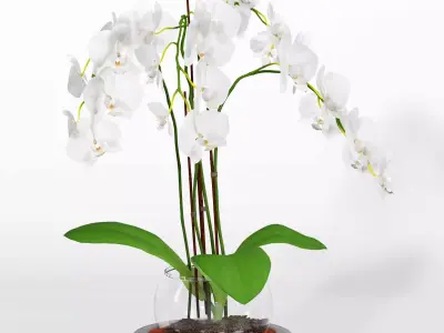 Flowe bouquets 3D model