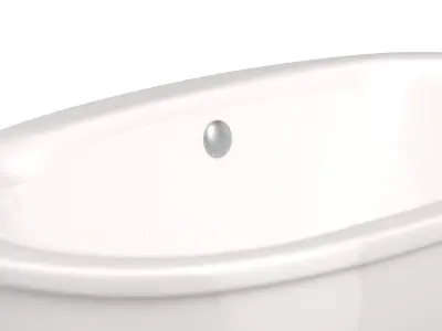 K 6369 Sunstruck Freestanding Bath Tub 3D model