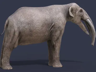 Gomphotherium steinheimense 3D model