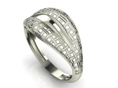 Fusion Ring 3D print model