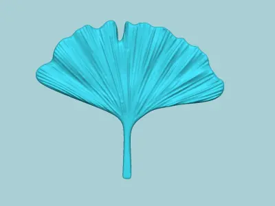 Ginkgo Leaf - Molding Artificial EVA Craft 3D print model