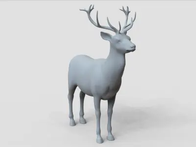 deer basemesh 3D model