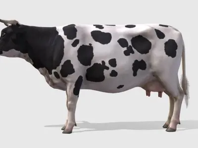 COW realistic Low-poly 3D model