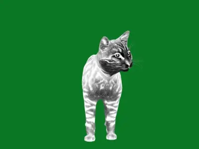 Silver Tabby Cat Low-poly 3D model