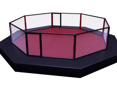 Fighting octagon arena 3D model