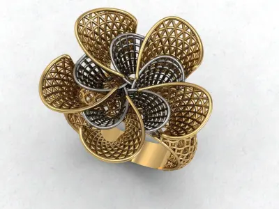 ring wire 3D print model