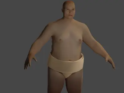 sumo bottoms Mawashi Free 3D model