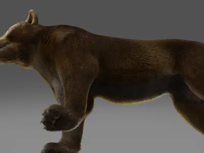 Fur Lioness V02 NO Rigged in Blender Low-poly 3D model