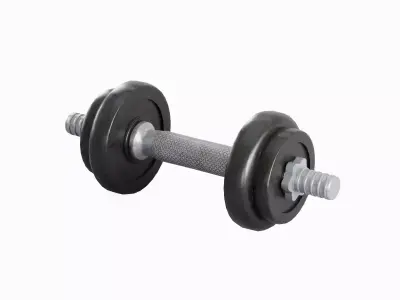 Metal Dumbbell 01 Low-poly 3D model