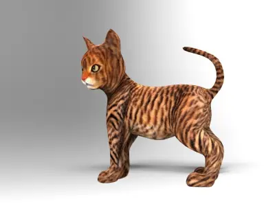 Wild Cute Cat Rigged  Low-poly 3D model