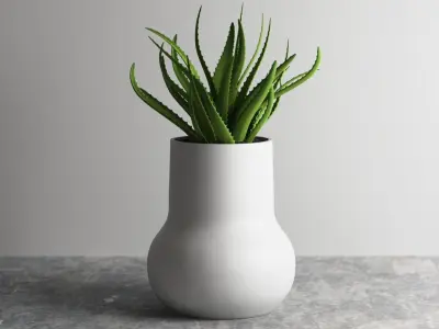 vase 3d print 683  3D print model purchase