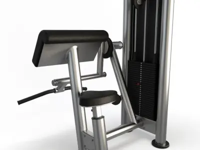 Gym Biceps Curl 3D model