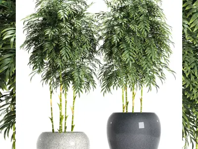 bamboo plant 3D model